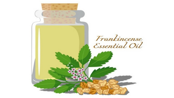 Frankincense Oil - Aroma Scents Naturals