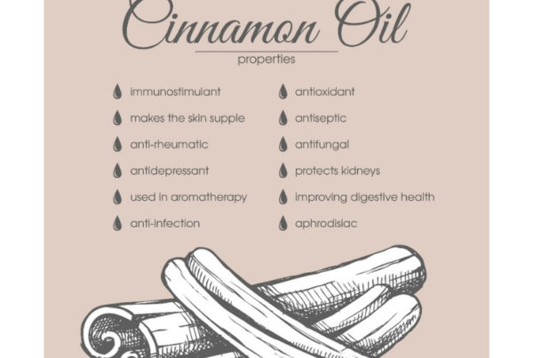 Aroma Scents Naturals - Cinnamon Essential Oil Uses, Benefits and Cautions