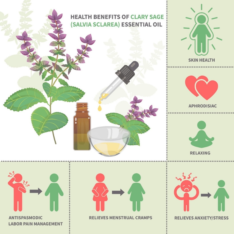 Aroma Scents Naturals - Clary Sage