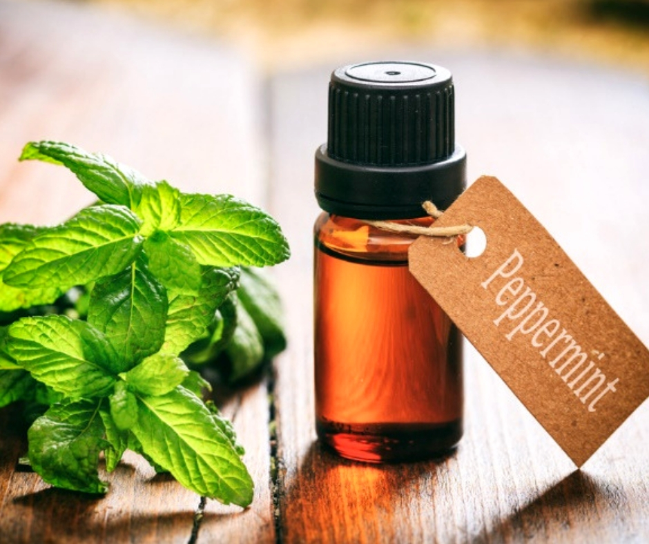 Aroma Scents Naturals - Peppermint Essential Oil