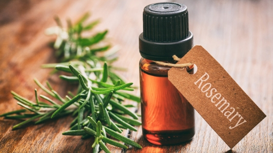 The Best Germ-Fighting Essential Oils – Derived from Common Garden Herbs