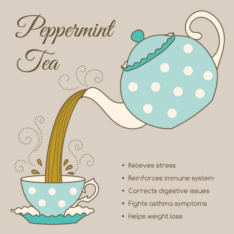Aroma Scents Naturals - Peppermint Tea